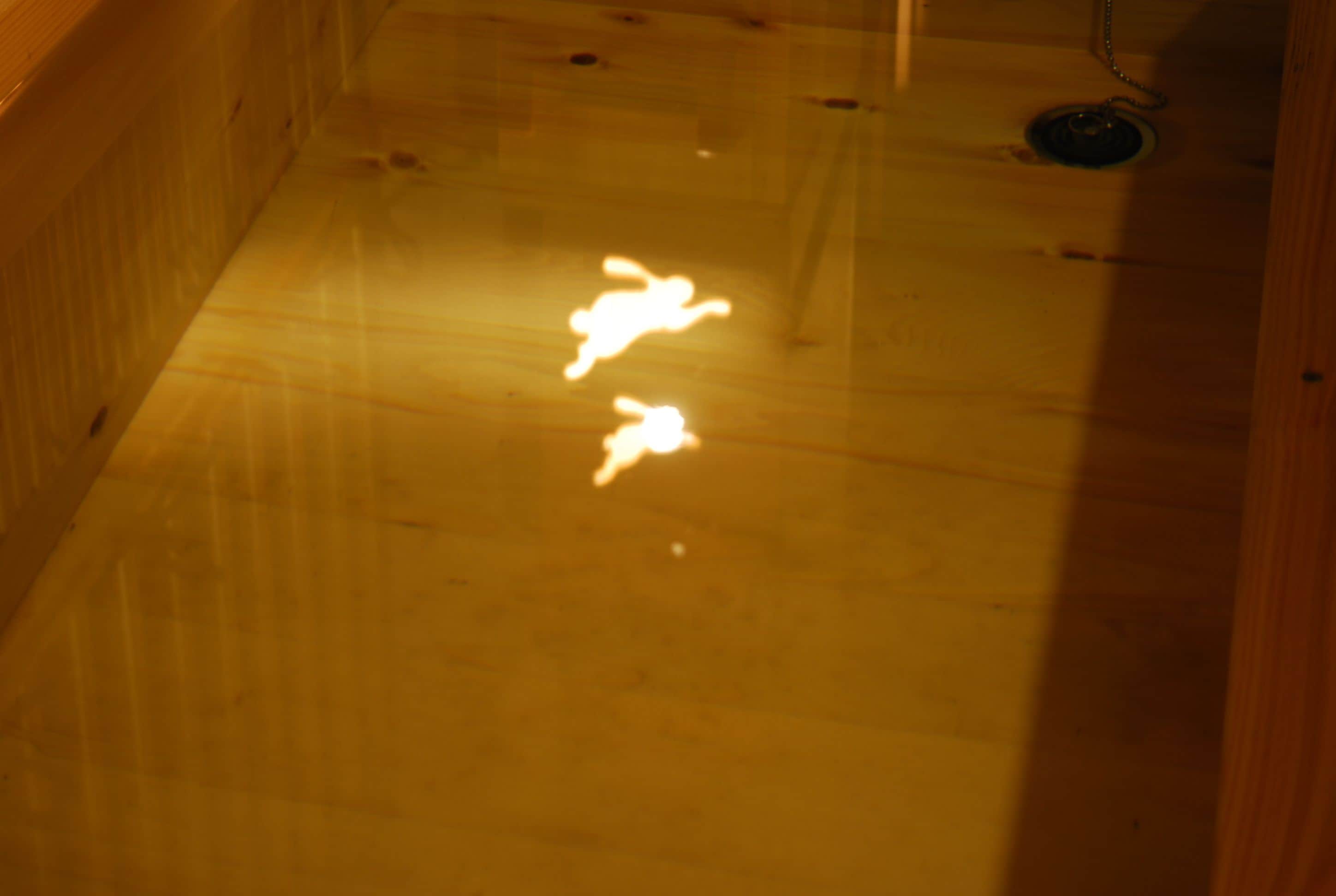 A wooden floor with a reflective surface, possibly a polished wood or varnished surface.
