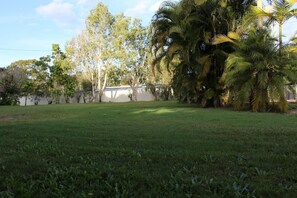 A grassy outdoor area with trees and a white building in the background.