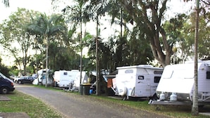 A row of RVs parked along a street lined with trees. - Huntsville Caravan Park (Tinana)
