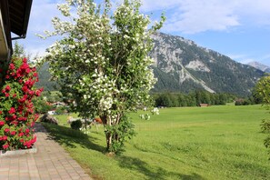 Un paysage rural avec un arbre au premier plan, un ciel dégagé et une montagne en arrière-plan.