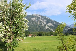 Property grounds - Apartment Alpenrose 47sqm, terrace, kitchenette, 1 bedroom, 1 bedsit. (Ruhpolding)