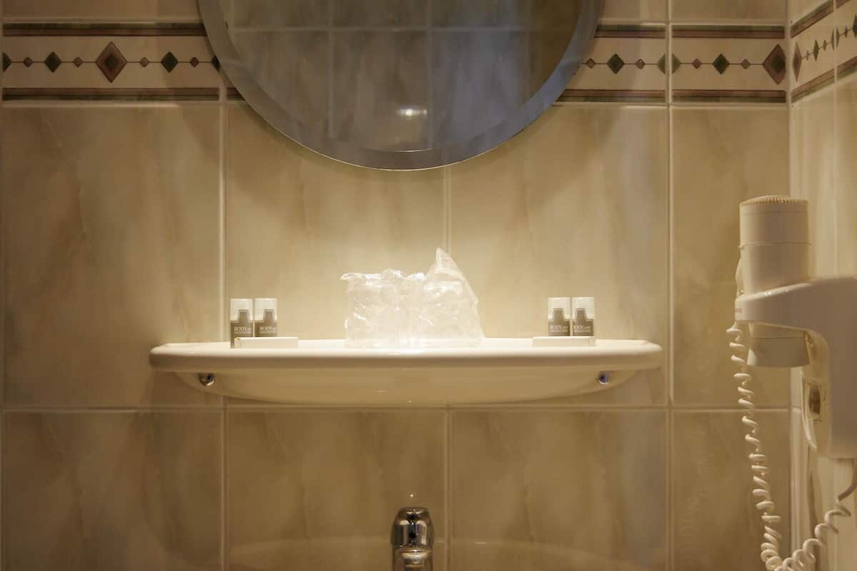 shower, free toiletries, hair dryer, towels