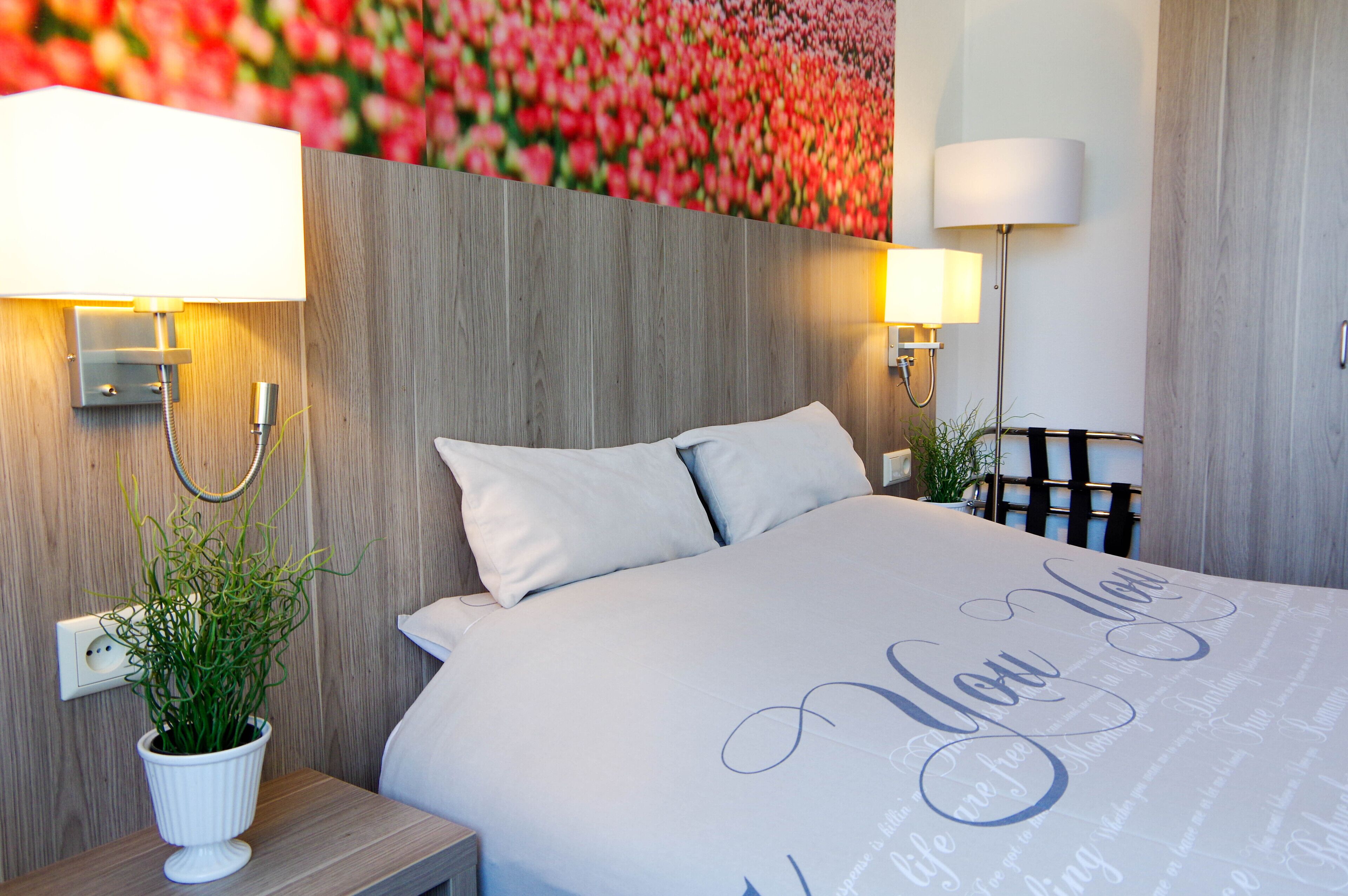 economy double room | 2 bedrooms, minibar, in-room safe, individually decorated