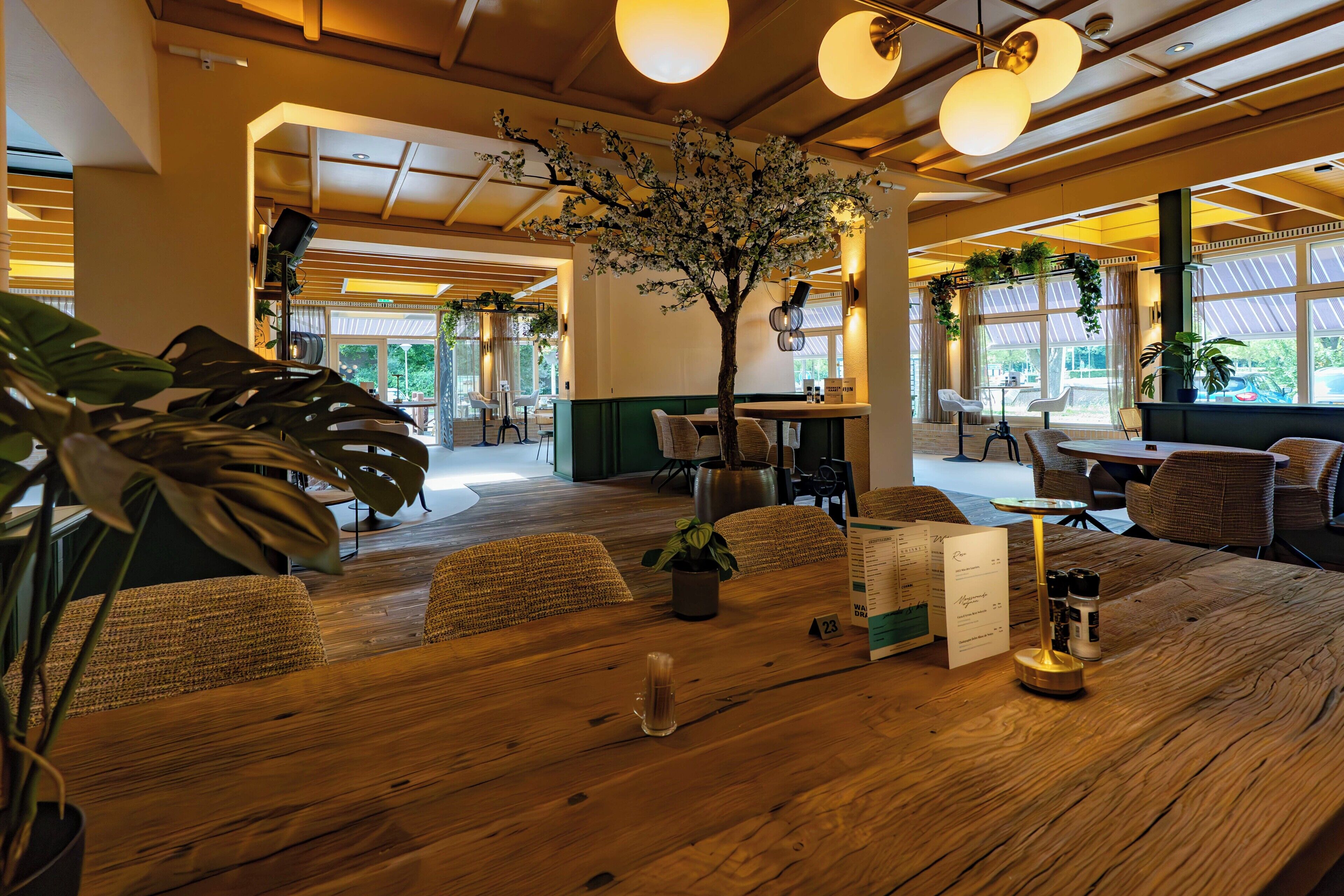 A wooden dining table with a menu, a glass of water, and salt and pepper shakers.
