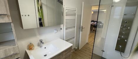 Hair dryer, towels, soap, toilet paper