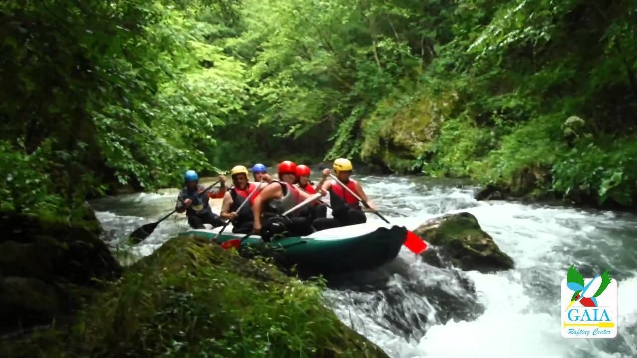 A group of people in a raft navigating a river surrounded by lush greenery.