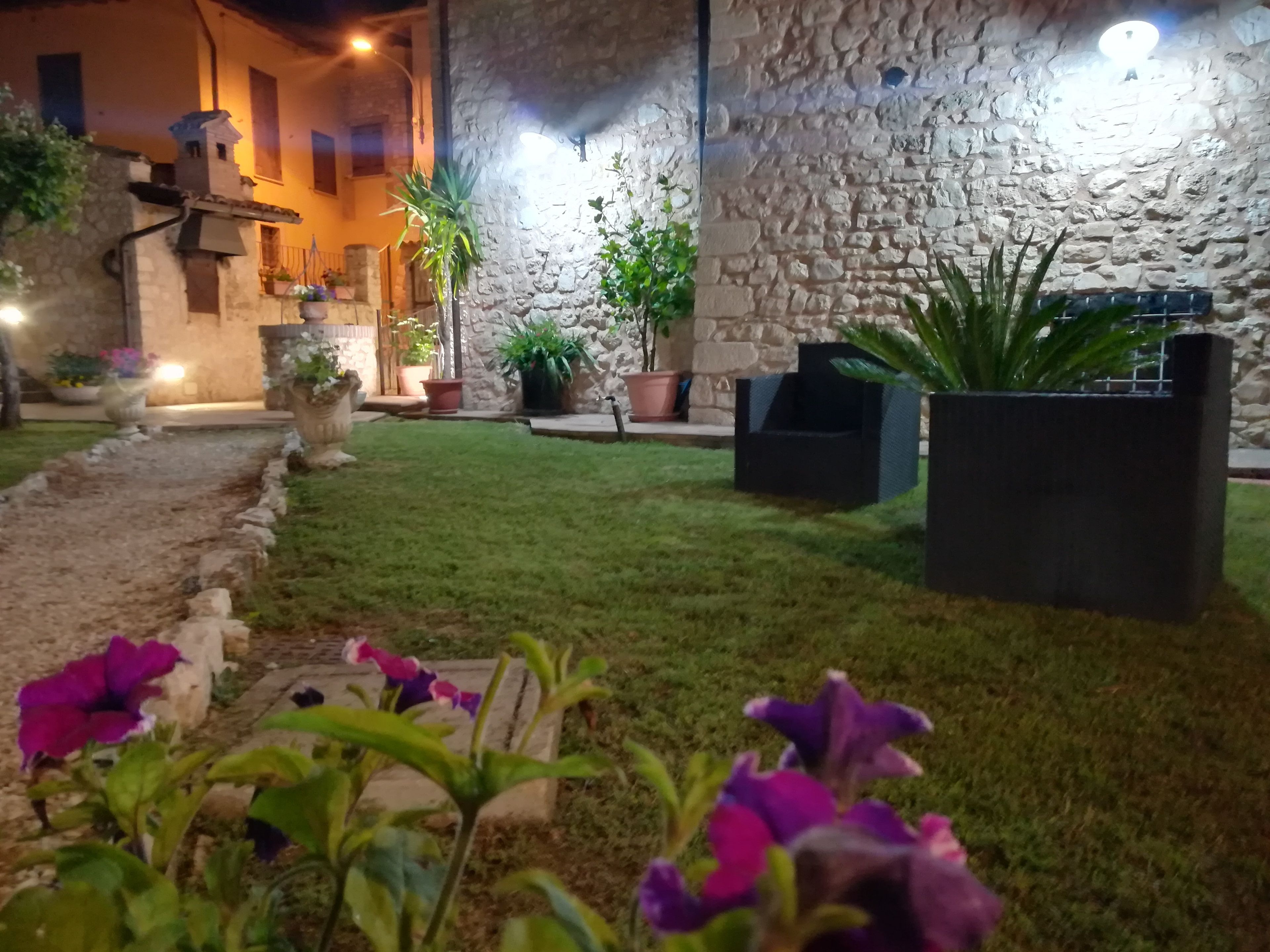 Un patio de piedra con plantas en macetas y un sendero que lleva a un edificio.