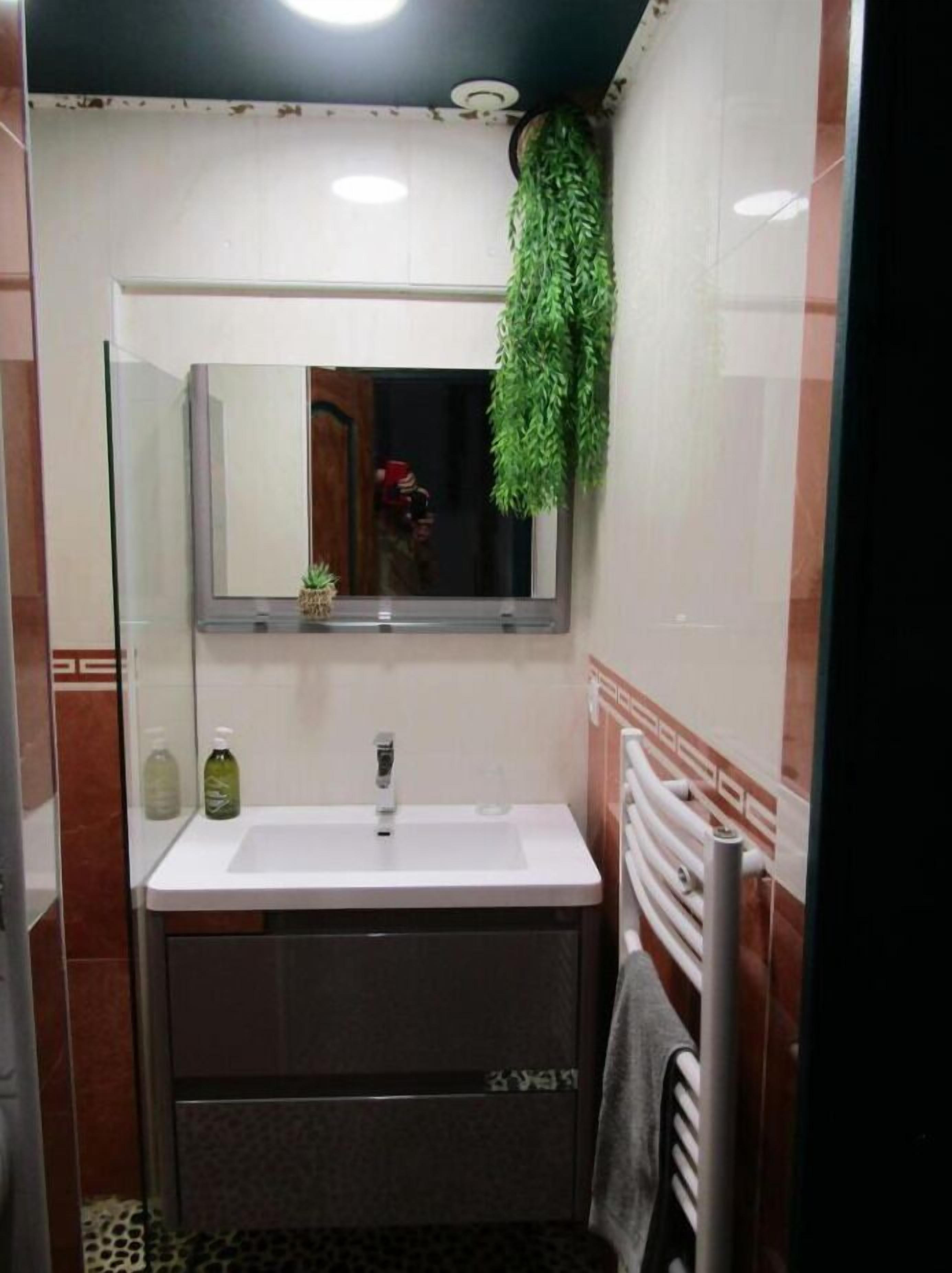 Un baño con lavamanos blanco, un espejo, toallero y una planta verde.