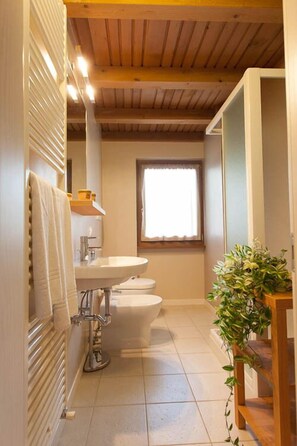 Ducha, secador de pelo, bidé y toallas