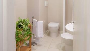 Shower, hair dryer, bidet, towels