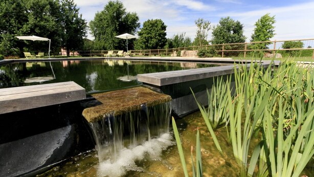 Une piscine agrémentée d’une cascade, entourée de verdure et de chaises longues.