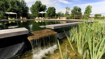 Seasonal outdoor pool, pool umbrellas, pool loungers
