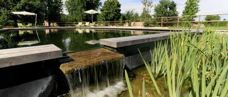 Seasonal outdoor pool, pool umbrellas, sun loungers
