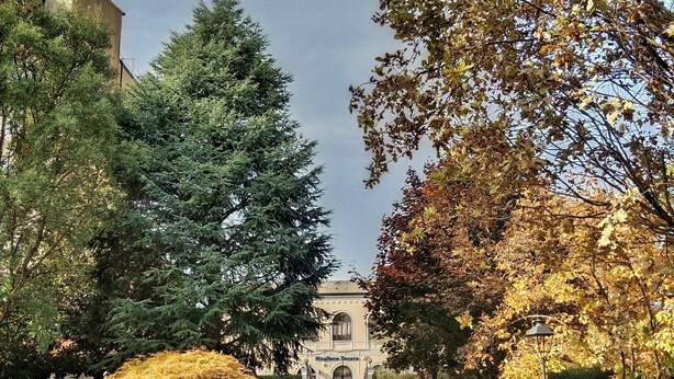 A pathway leading to a building with a classical facade, surrounded by well-maintained trees and shrubs. - Relais Toti B&B (Mogliano Veneto)