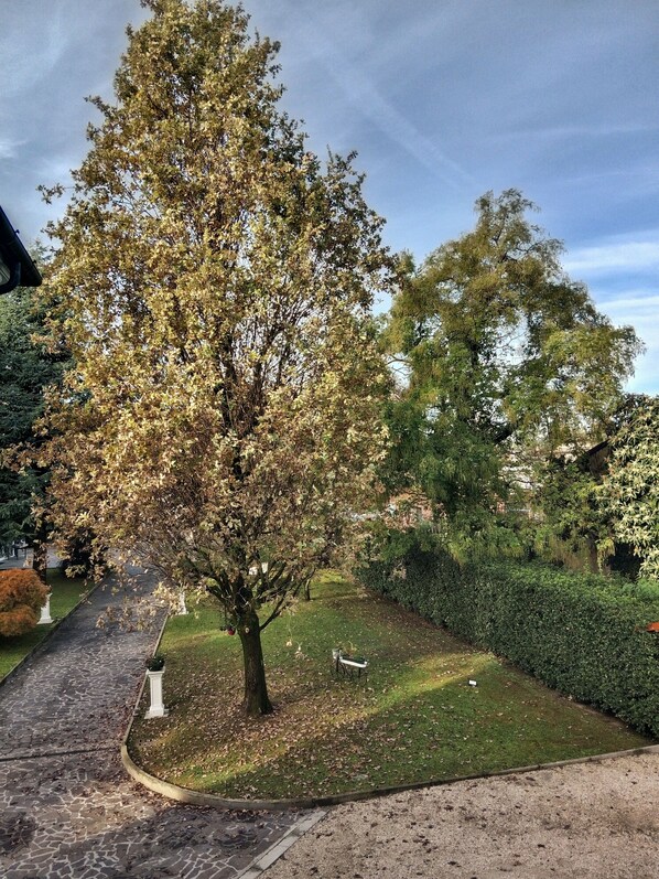 Habitació estàndard | Terrassa o pati