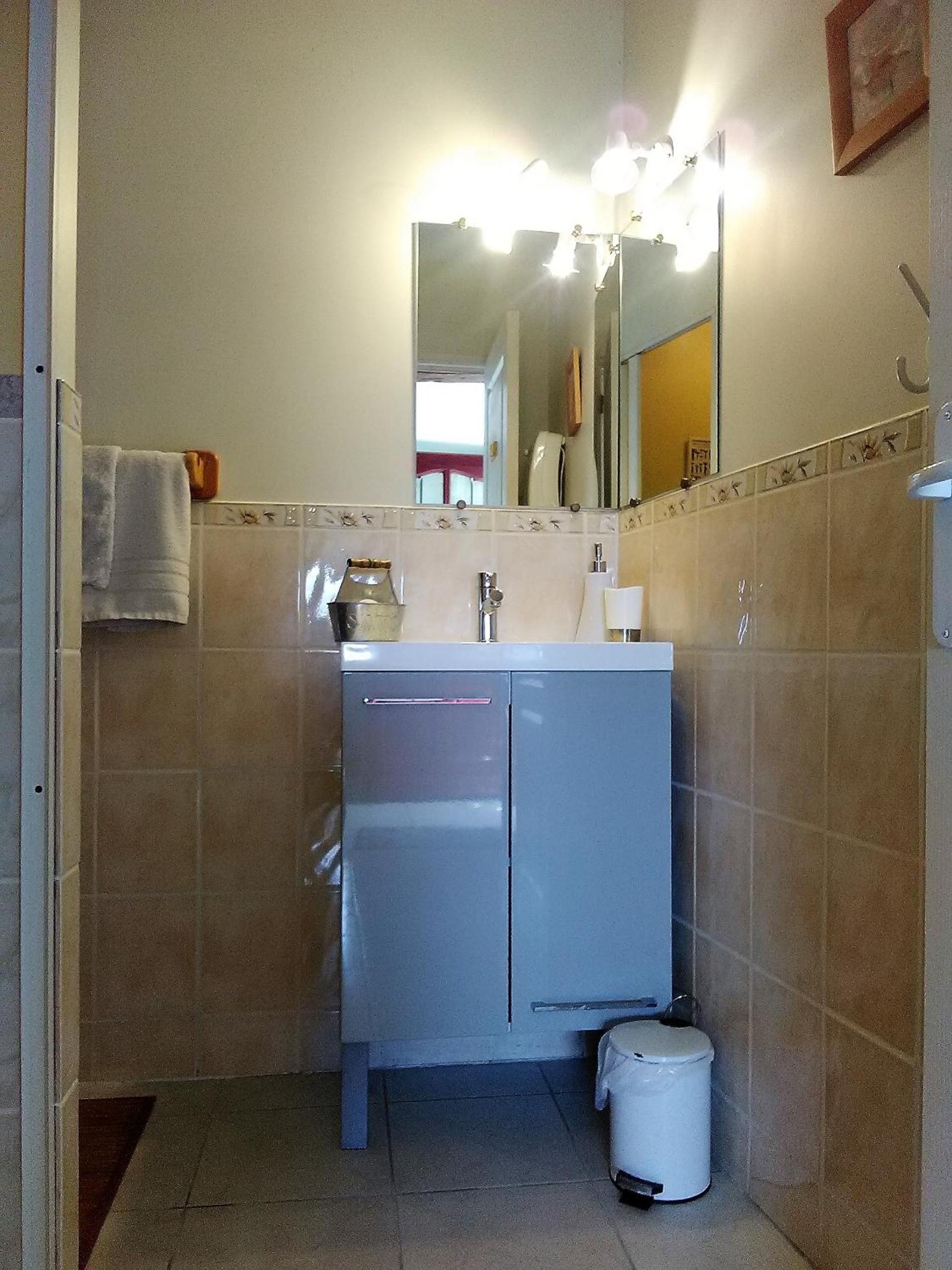 A compact bathroom with a sink, mirror, and a trash bin.