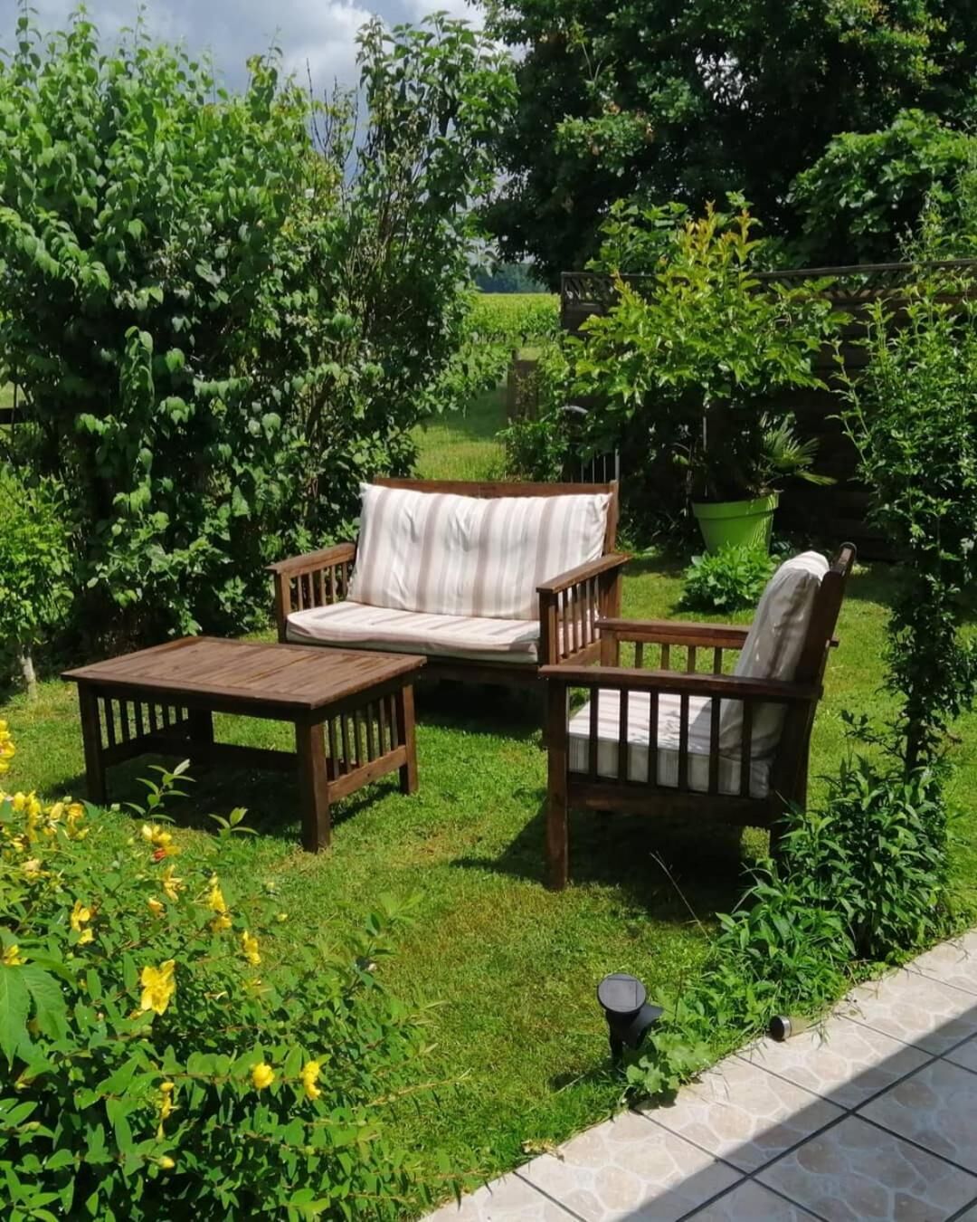 Un jardín con un banco de madera y una mesa, rodeado de plantas verdes y flores amarillas.