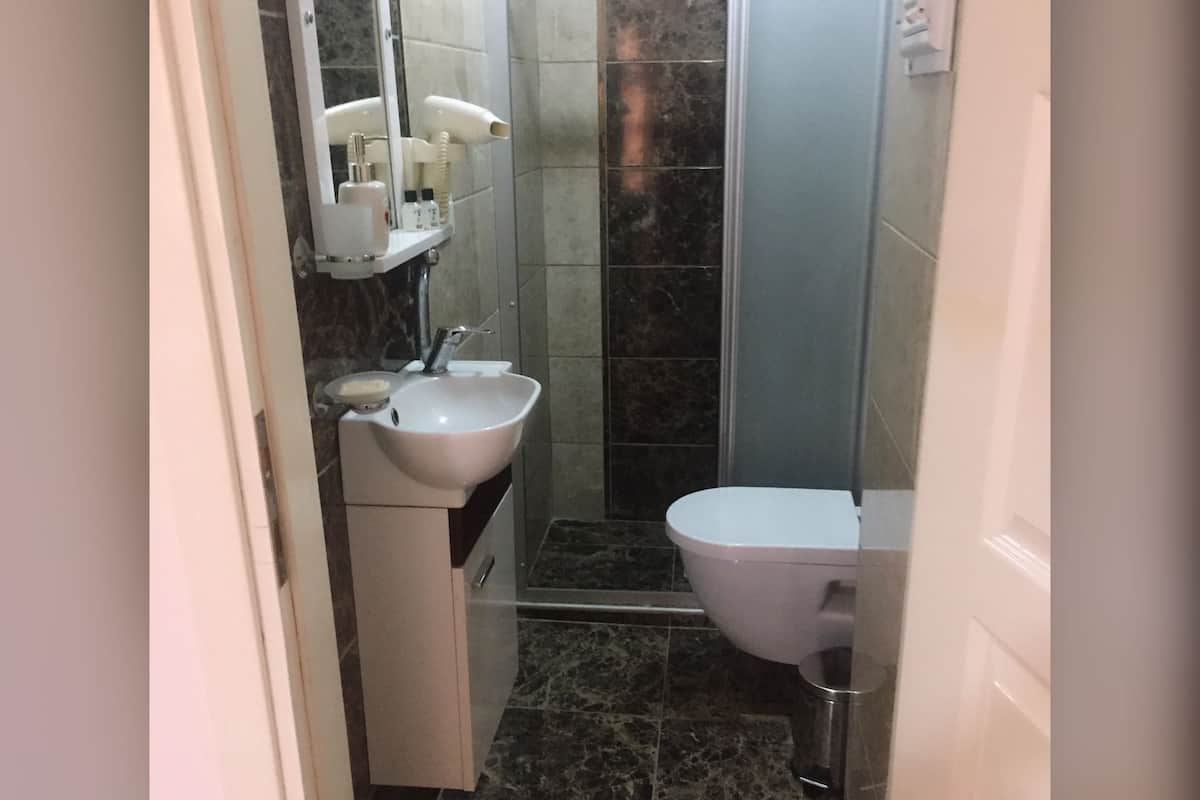 Shower, hydromassage showerhead, free toiletries, hair dryer