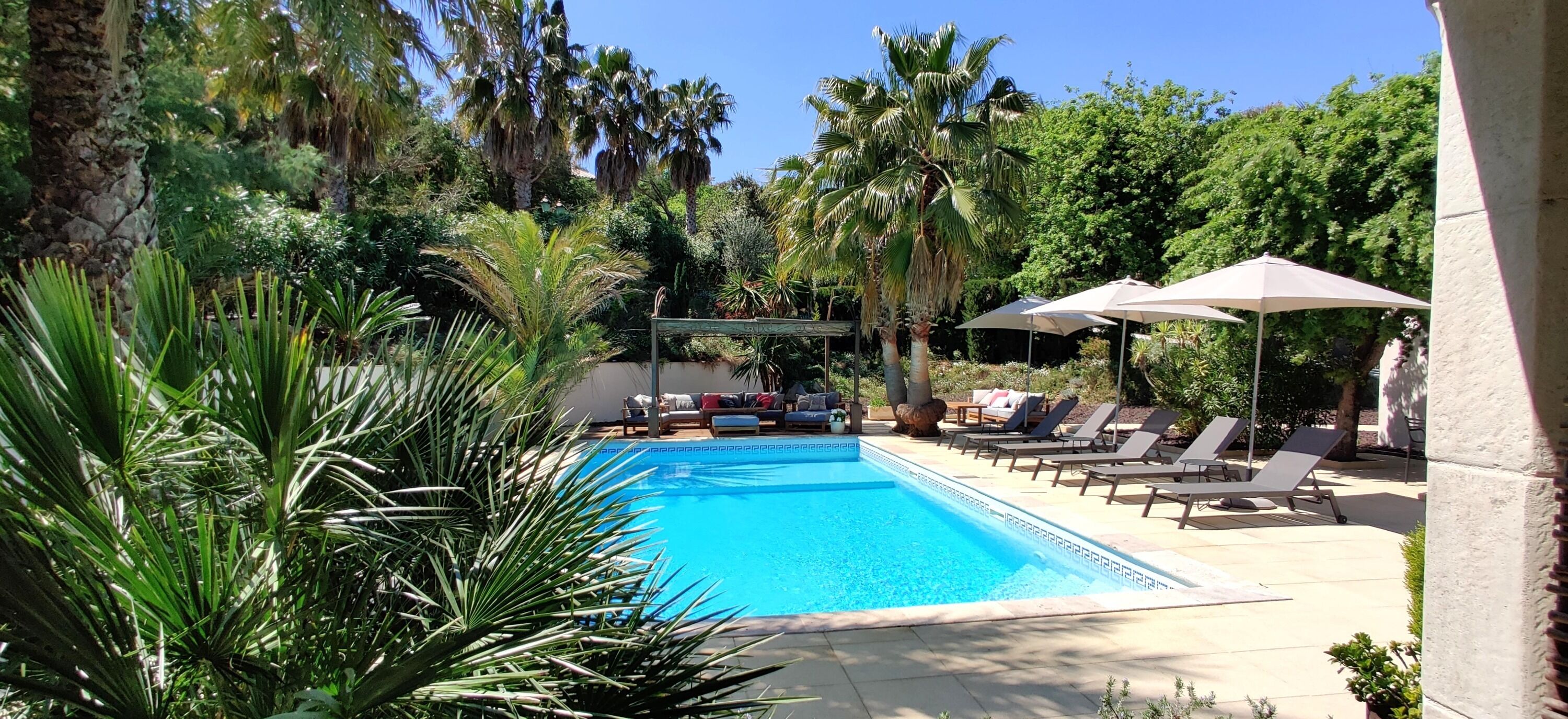 A swimming pool with lounge chairs and umbrellas, surrounded by palm trees and greenery.