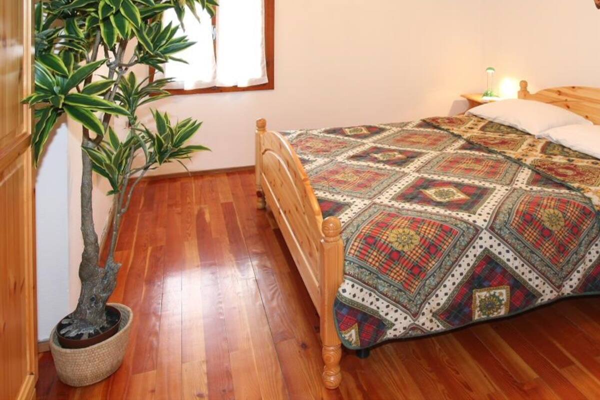 A bedroom with a wooden bed, a patterned bedspread, a potted plant, and a bedside table with a lamp.