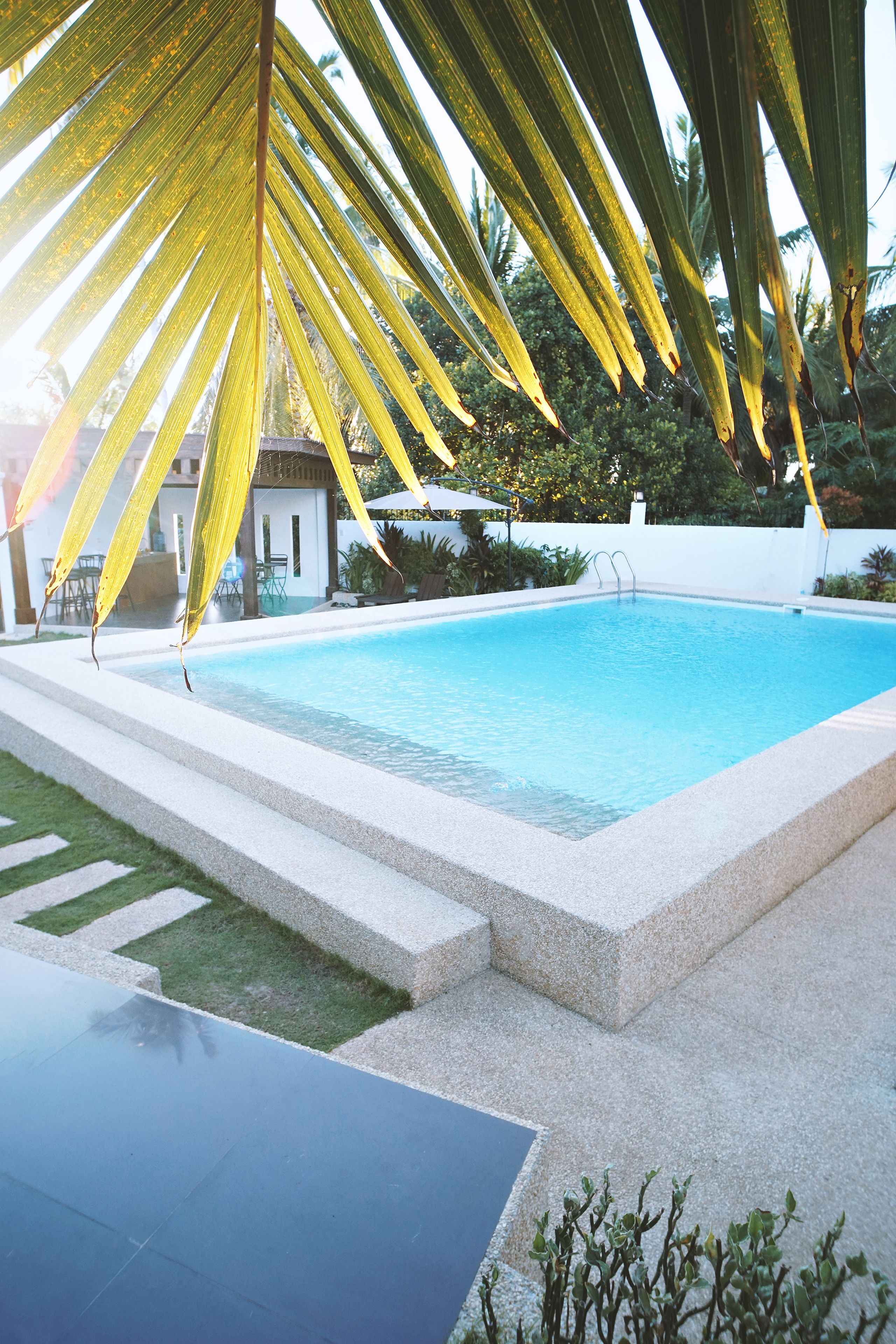 A swimming pool with a clear blue water, surrounded by a white fence and a palm tree.