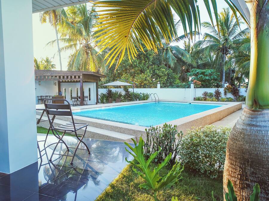 Outdoor pool, sun loungers
