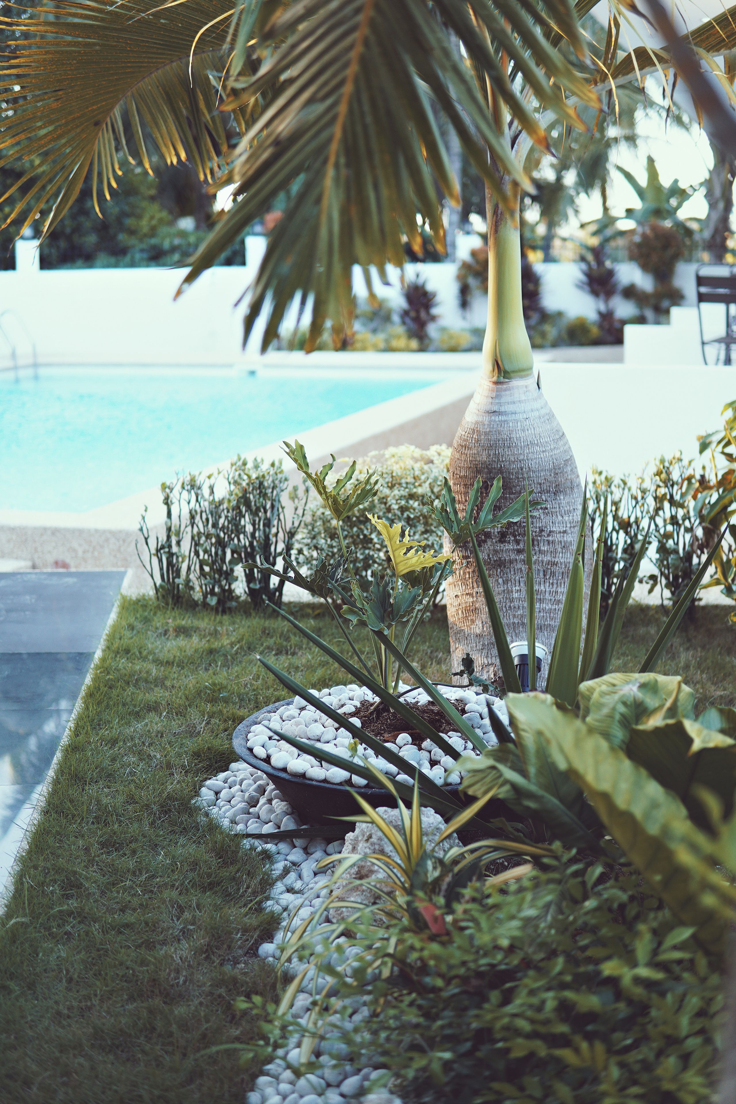 A garden area with a decorative bottle, various plants, and a pool in the background.