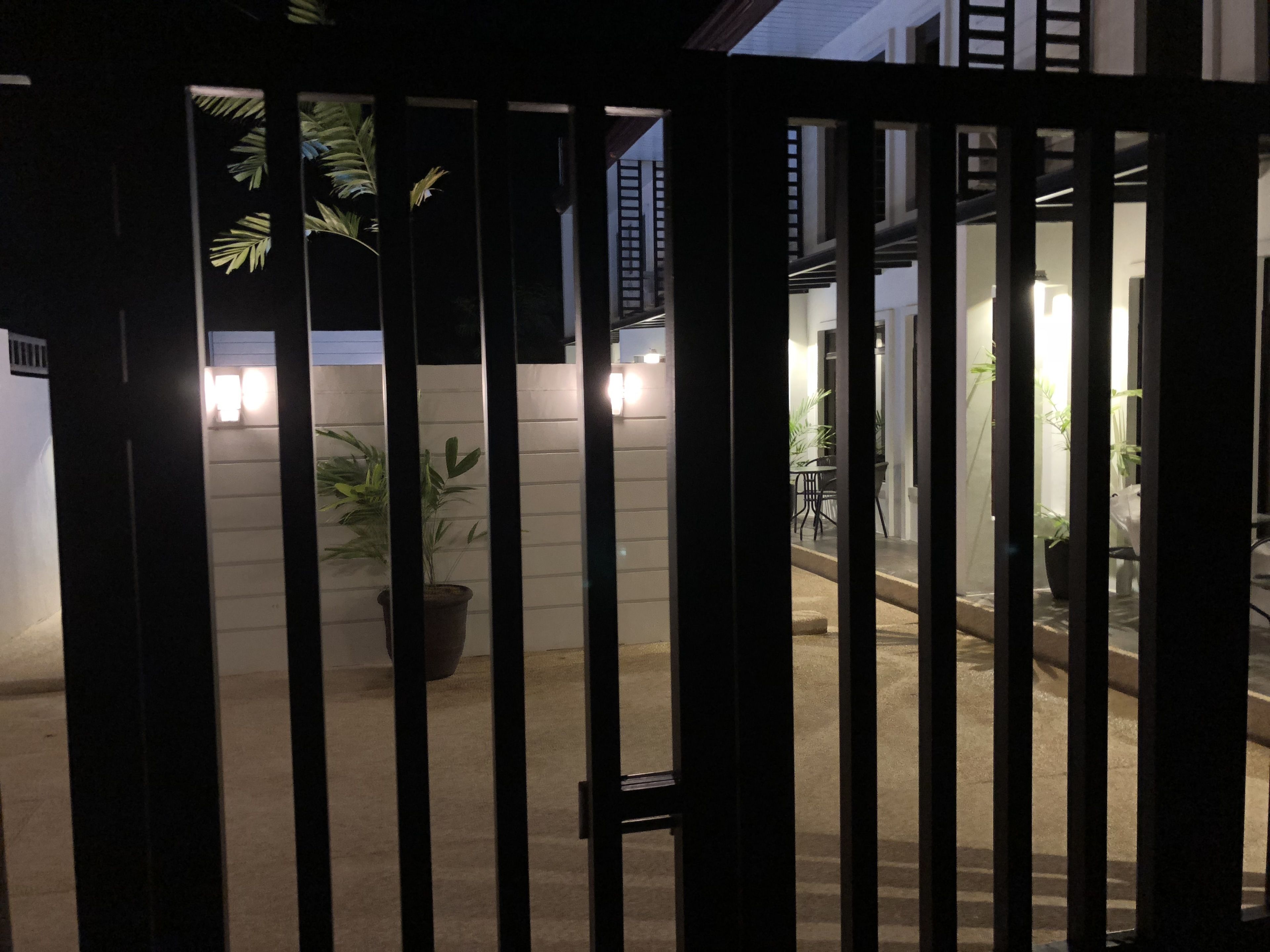 A gated entrance with a potted plant and a light fixture.