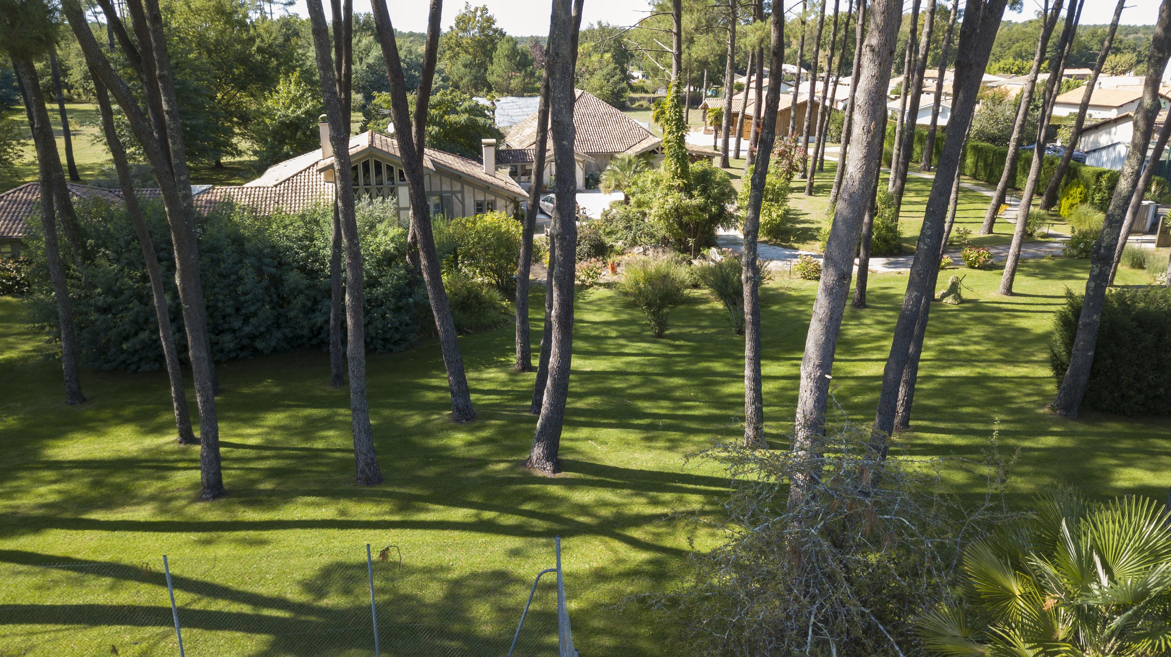 A residential area with a house surrounded by tall trees and well-maintained lawns.