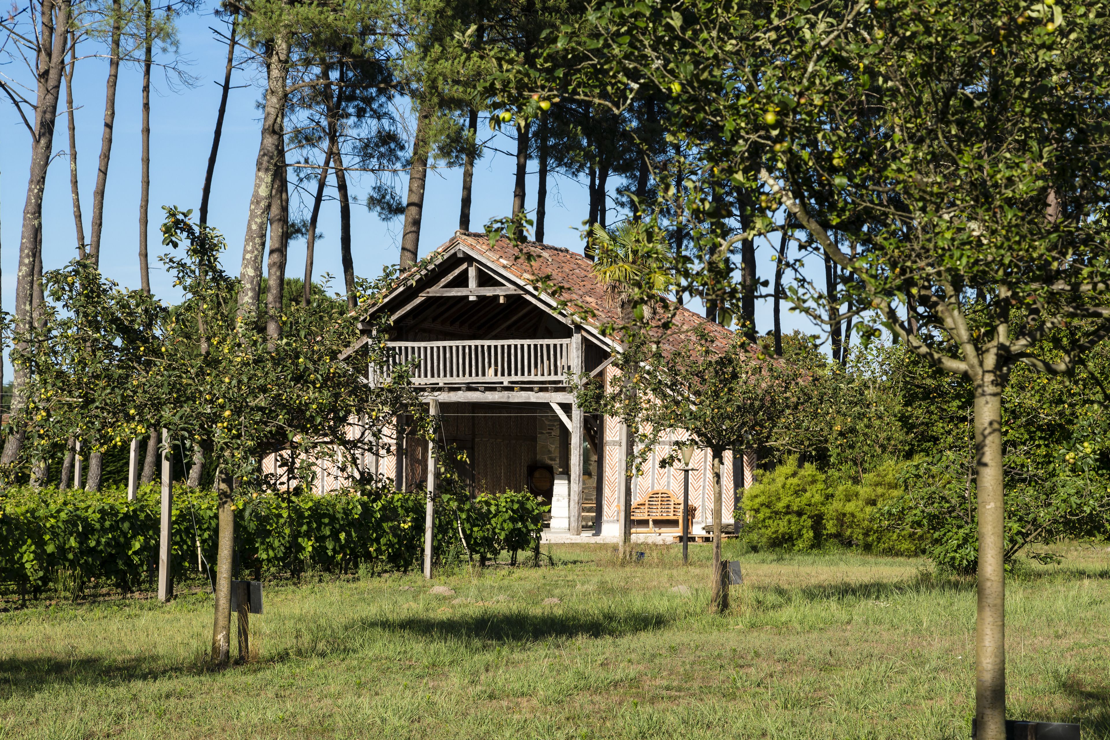 A rustic wooden cabin with a porch, surrounded by tall trees and a grassy field.