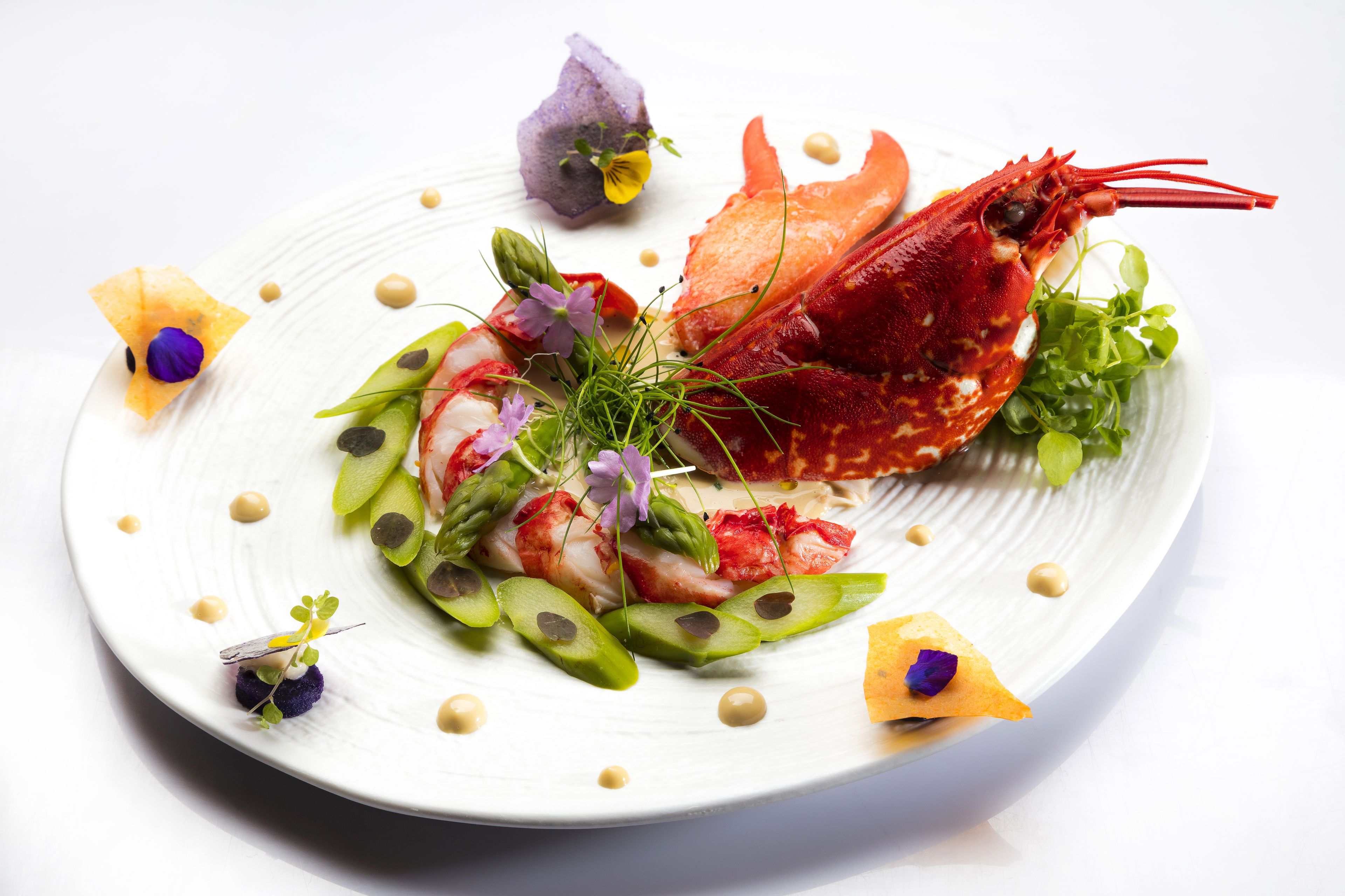 Ein Fischgericht mit einem Hummer im Mittelpunkt, garniert mit Grünzeug und Blumen, auf einem weißen Teller.