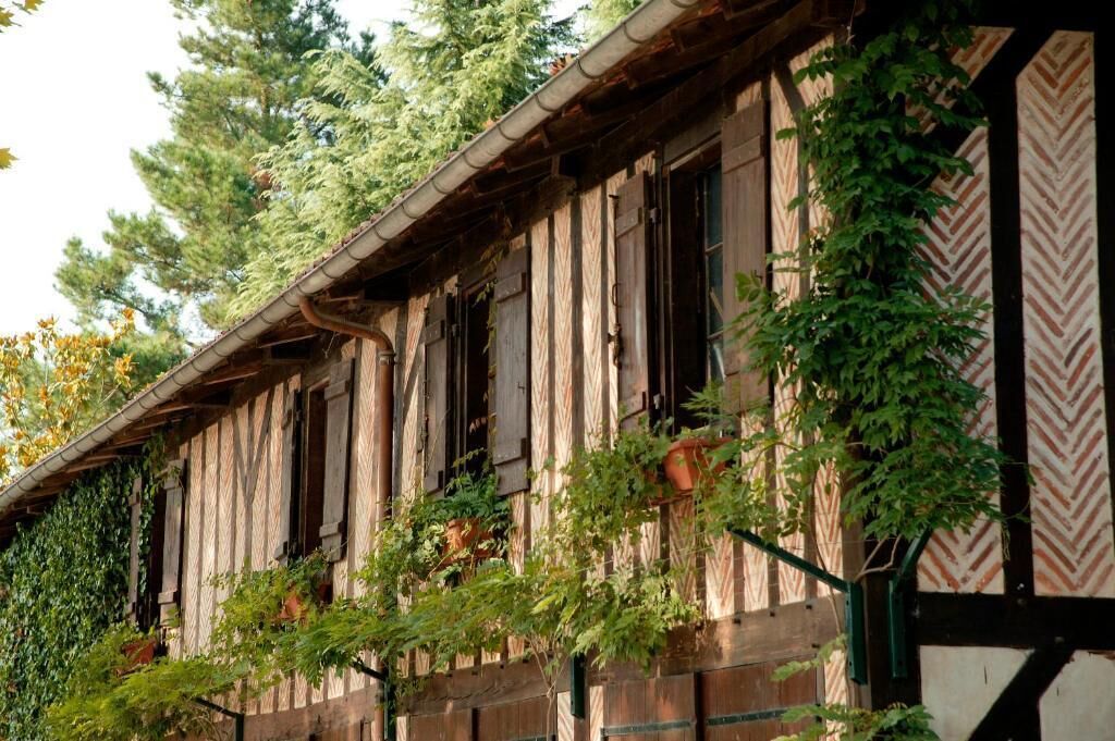 Un edificio tradicional de madera con varias ventanas, algunas con plantas trepando.