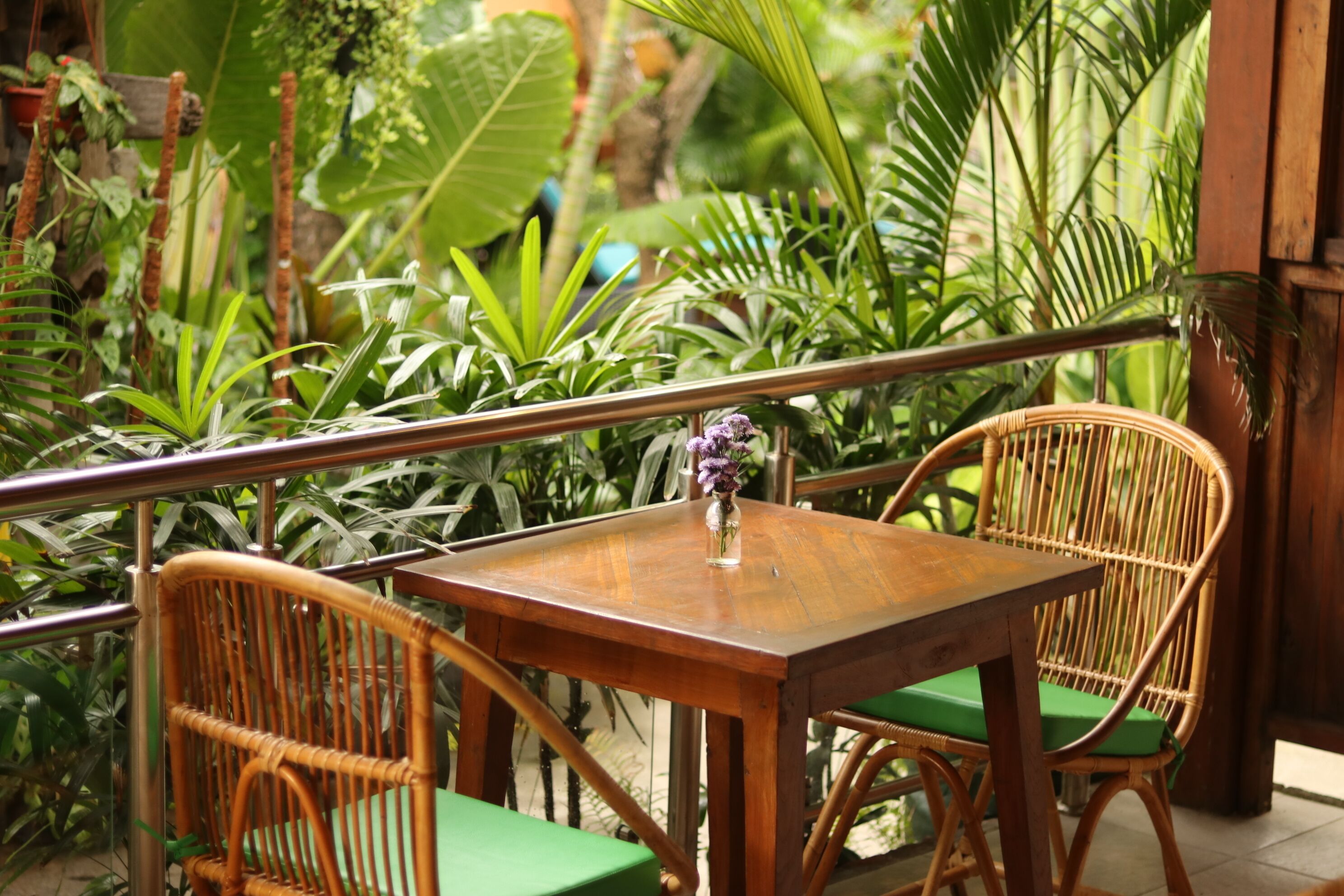 Photo - Mina Pelasa Hotel