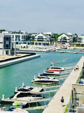 Vista desde la propiedad