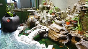 A rock garden with various plants and a small pond. - Yuan Qi Hostel (Tainan)