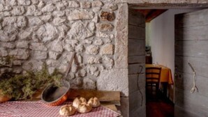A rustic stone wall with a table displaying bread and a potted plant.