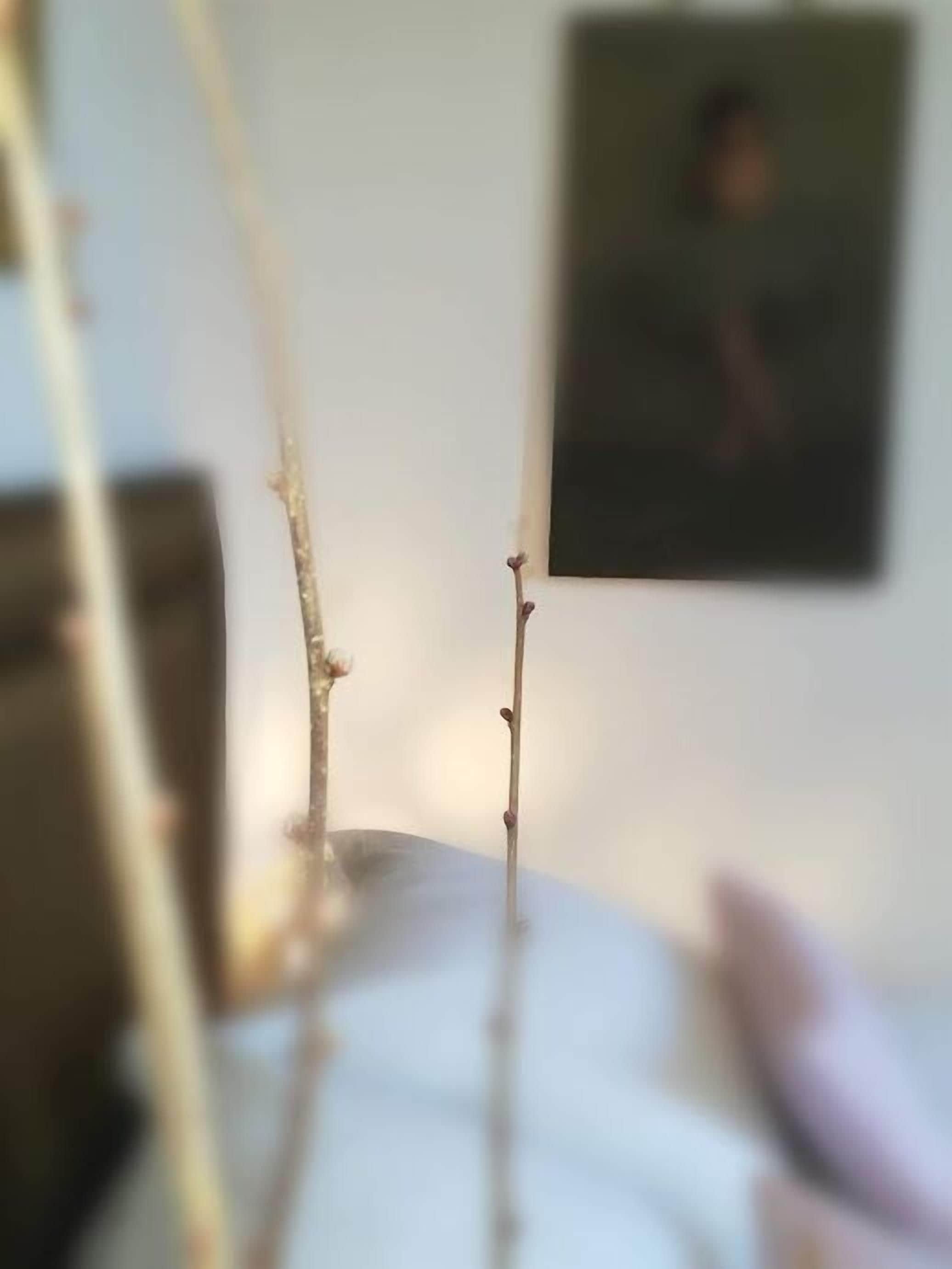 A blurred indoor scene with a white wall and a framed picture.