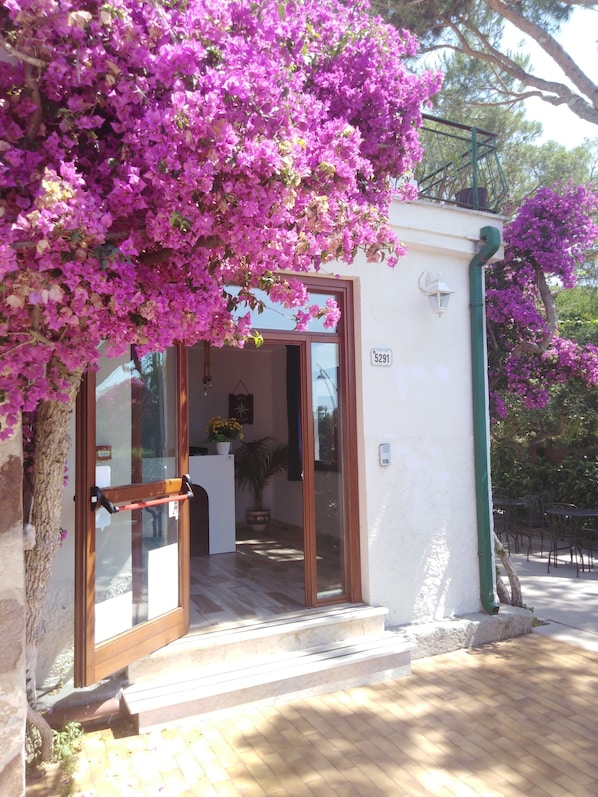 Reception - Hotel Rio Claro (Fondi)