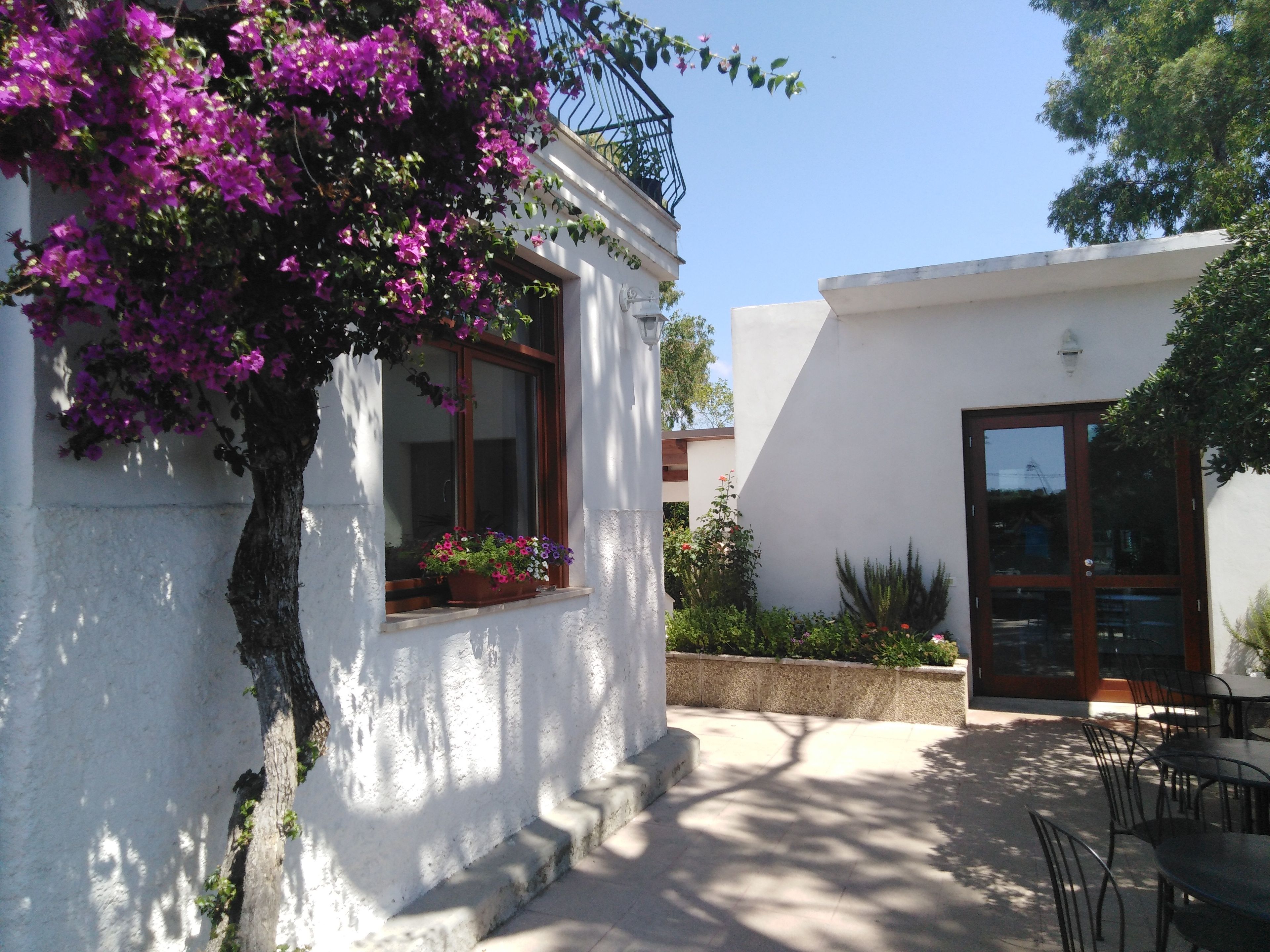 A white building with a window covered by purple flowers, a door, and a small outdoor seating area with tables and chairs.