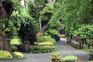 A garden pathway surrounded by lush greenery and various plants. - Micklefield Bungalow (Welimada)