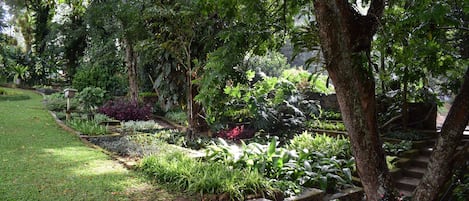 Ein Garten mit Kiesweg, verschiedenen Pflanzen und einem Baum.