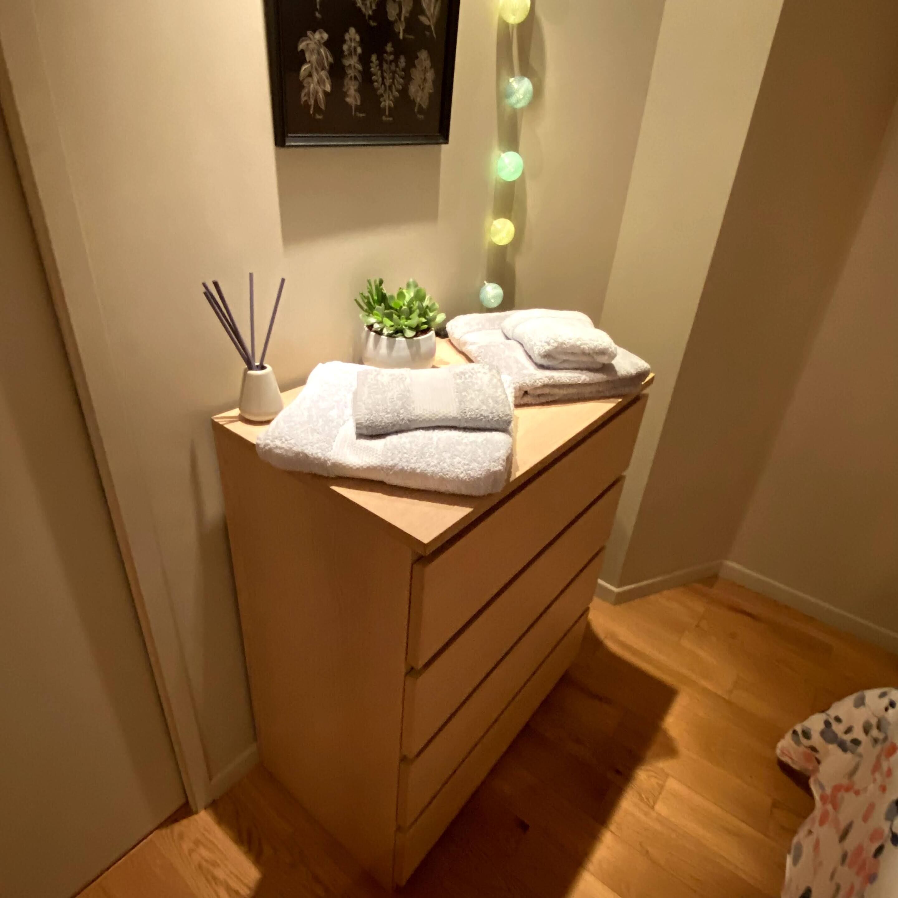 A corner of a room with a wooden dresser, a small potted plant, a framed botanical print, and a string of lights.