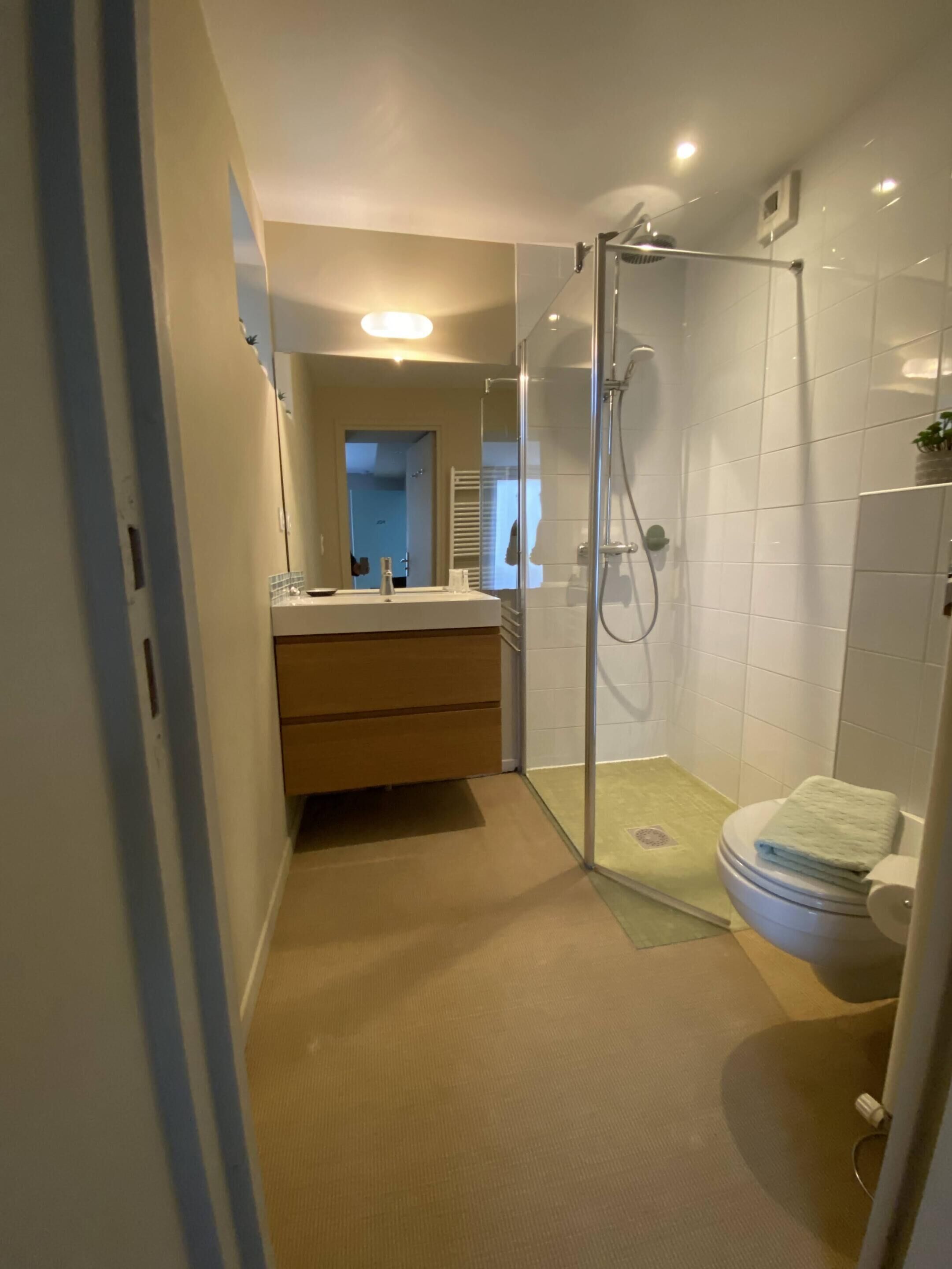 A modern bathroom with a glass shower enclosure, a toilet, and a vanity with a mirror.