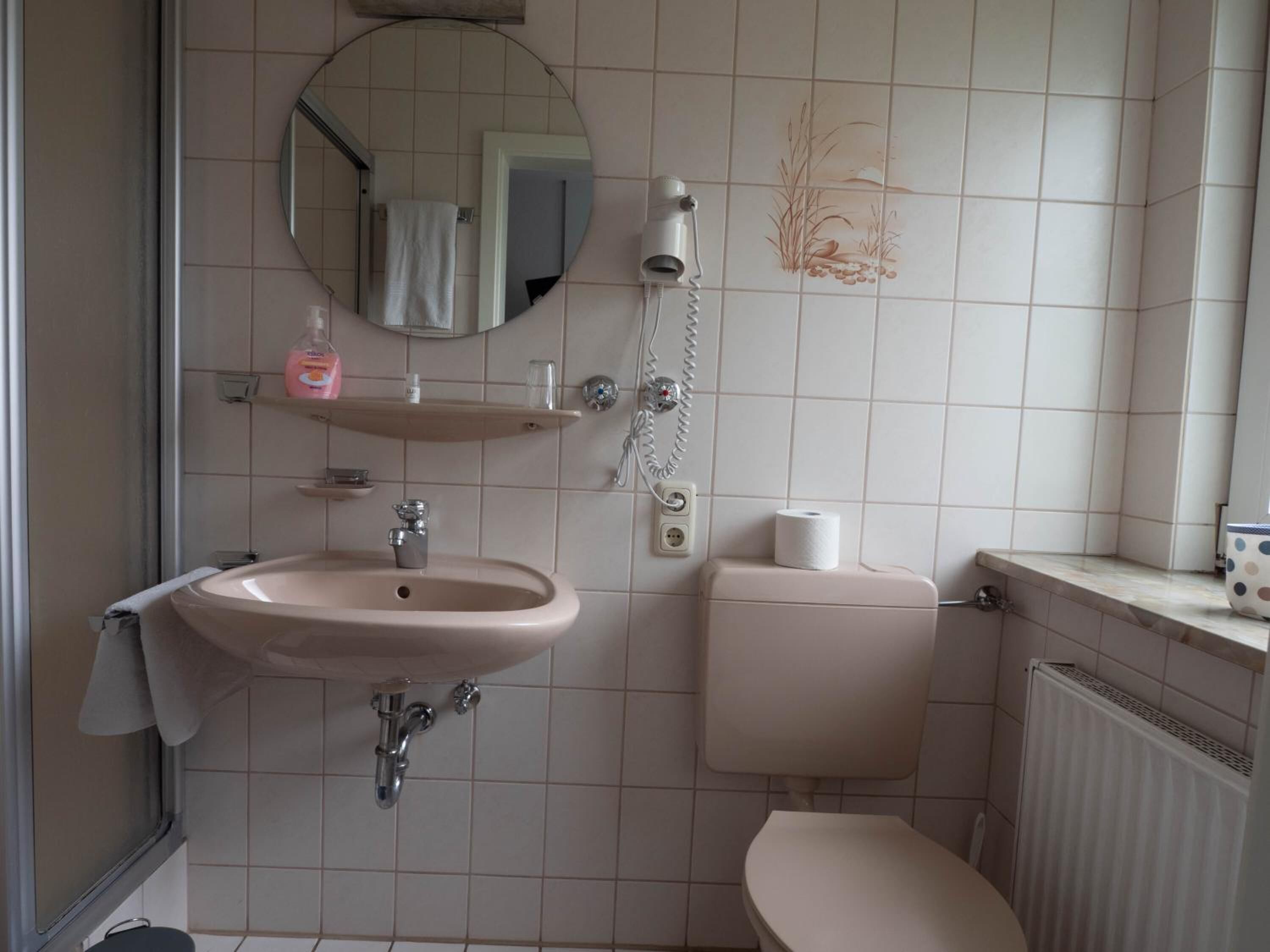 shower, free toiletries, hair dryer, towels