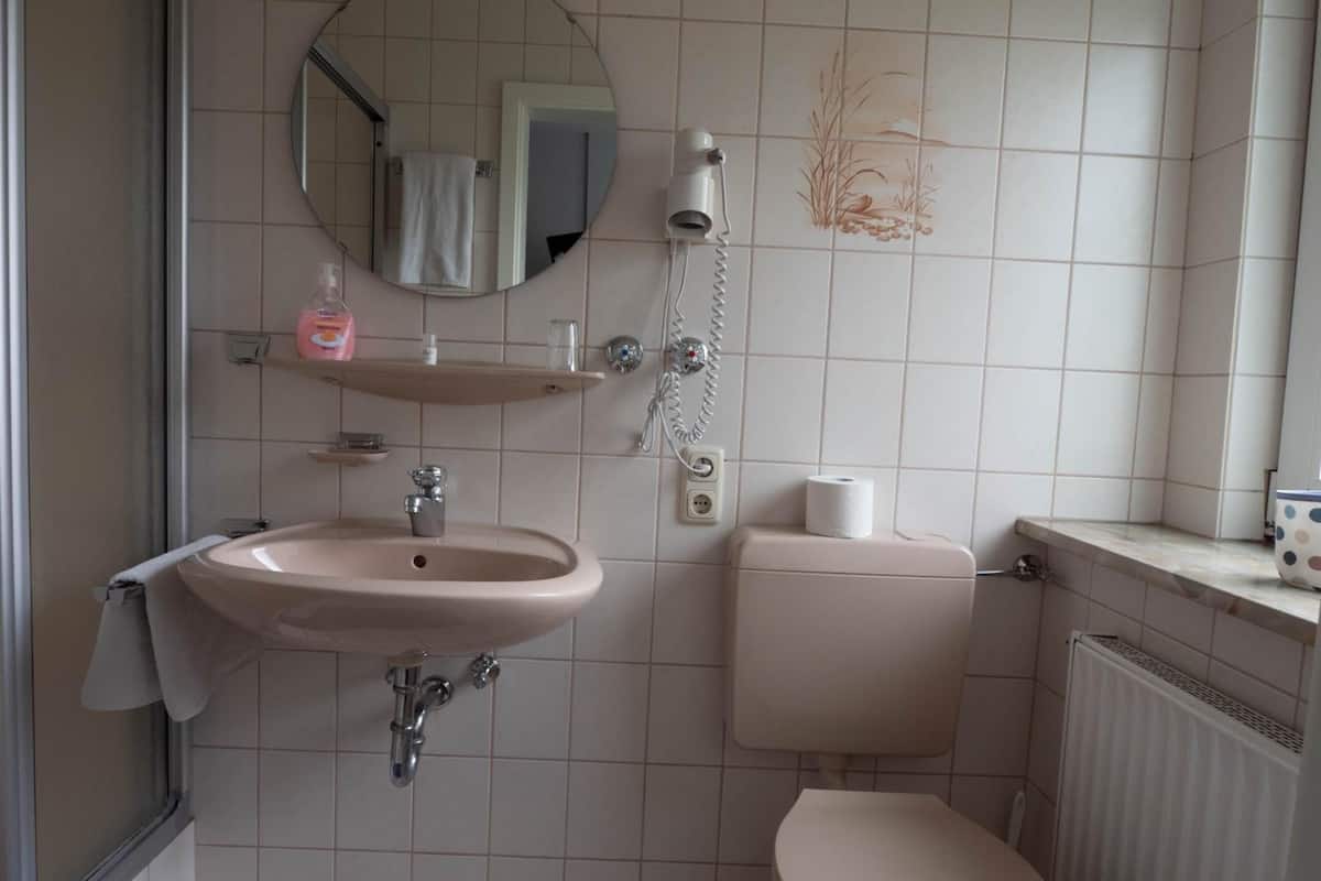 shower, free toiletries, hair dryer, towels