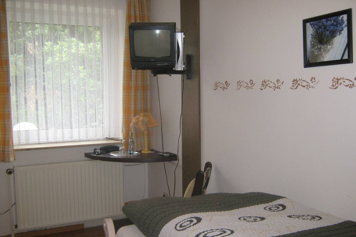 Camera singola | Biancheria da letto ipoallergenica, una scrivania, Wi-Fi gratuito