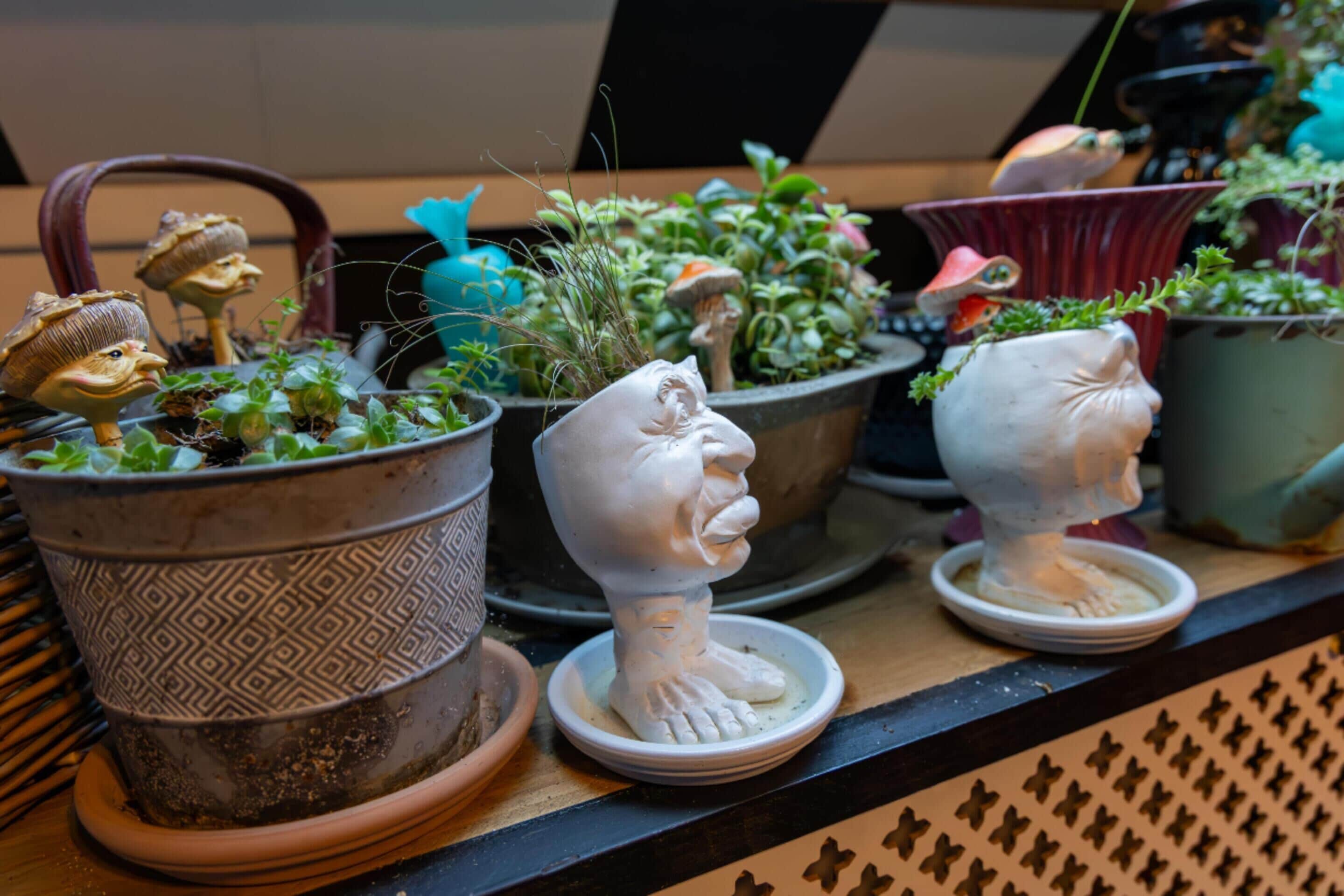 Verschillende potplanten en decoratieve beeldjes op een plank.