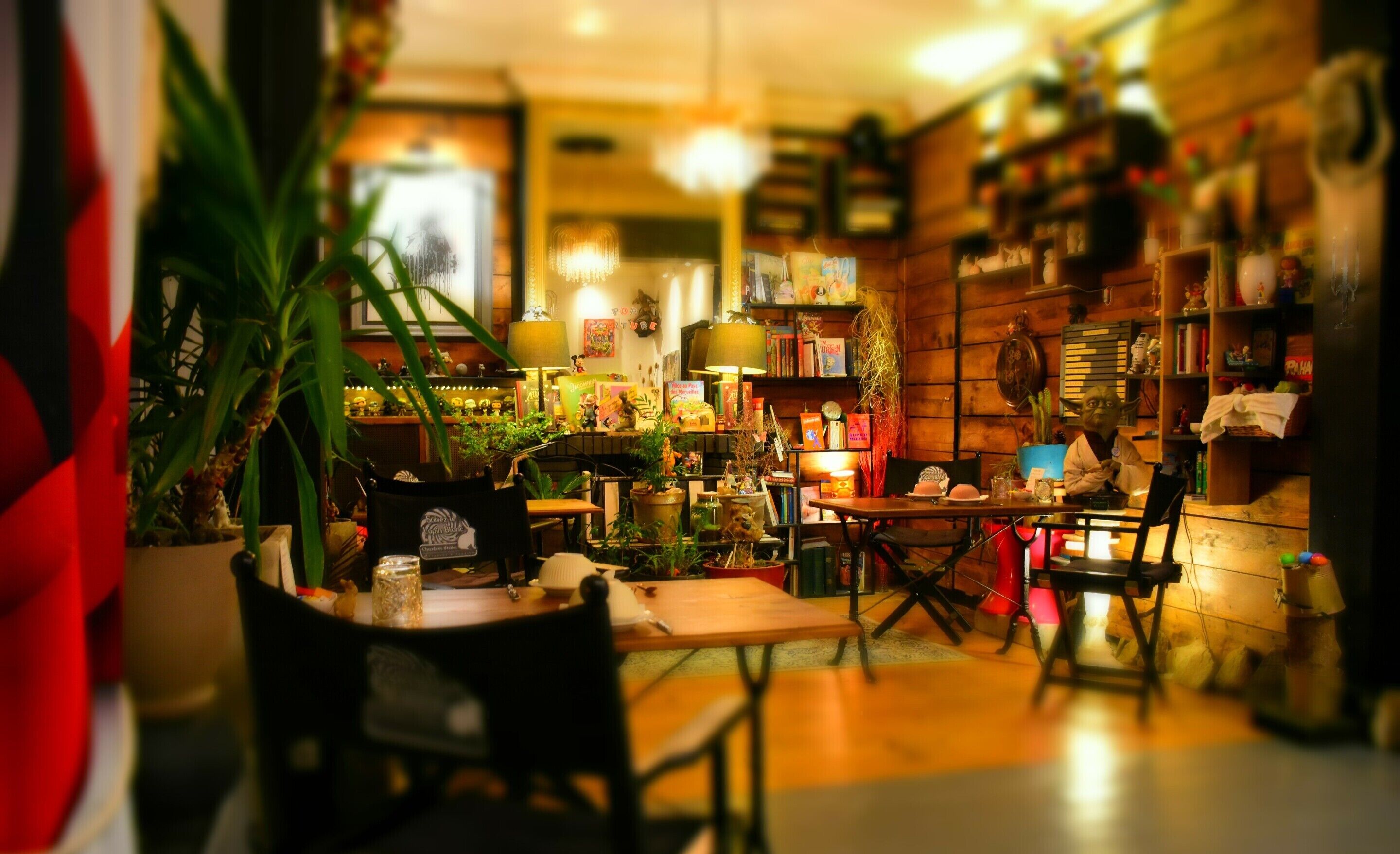Un cafè acollidor amb mobiliari de fusta, diverses plantes i una prestatgeria plena de llibres i objectes decoratius.