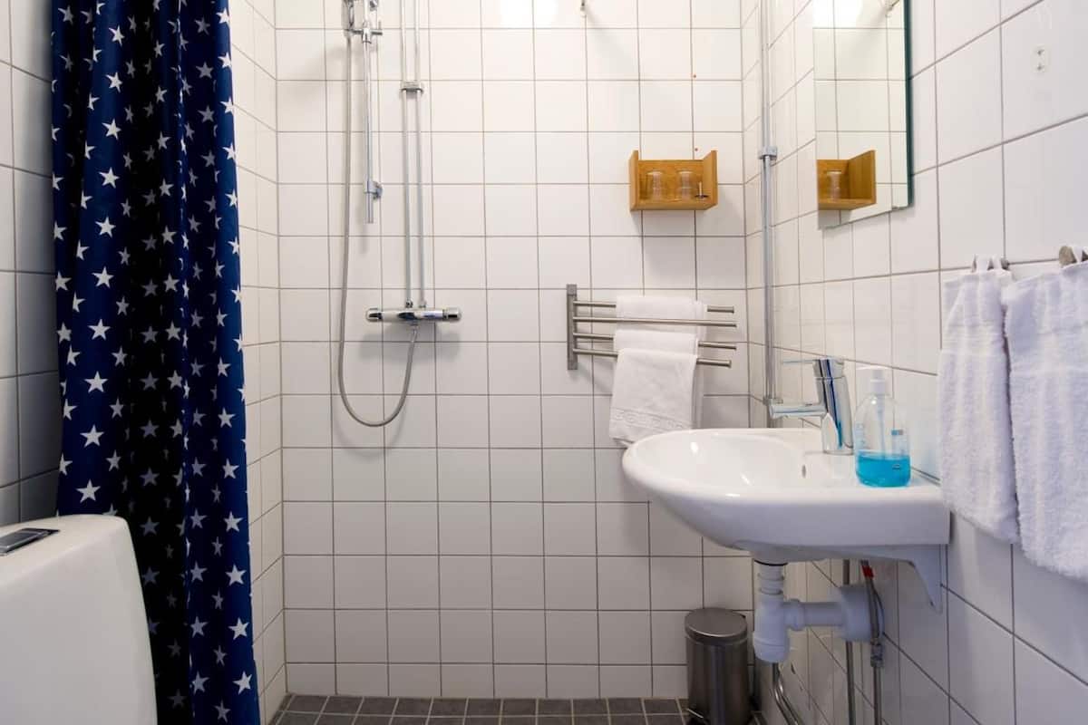 shower, designer toiletries, hair dryer, towels