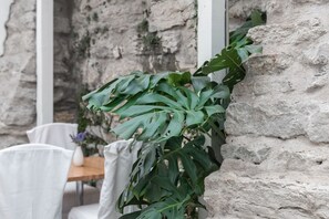 A stone wall with a plant growing against it.